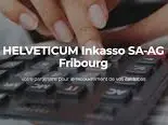 HELVETICUM Inkasso SA