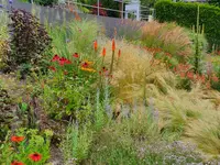 Küng Garten AG