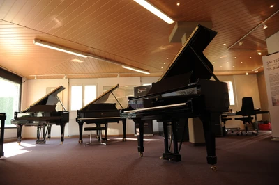 steinway & sons, piano herzig