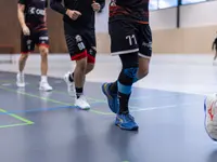 lintharena ag