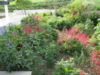 Trais Fluors Gartenbau GmbH - Klicken Sie, um das Bild 3 in einer Lightbox vergrössert darzustellen