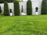 HGU Hauswartungen