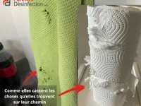 Partners Desinfection | Votre spécialiste en Nuisibles