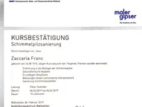 Schimmel Experten