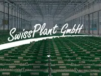 SwissPlant GmbH