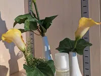 Institut de beauté Secret de beauté