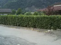 Bugada Giardini