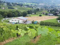 Marché Paysan Bühlmann