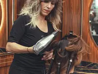 Best Cut
