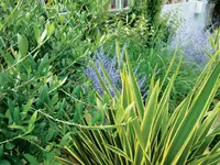 Atelier Vert SA