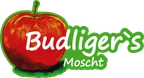 Budliger Regiomat