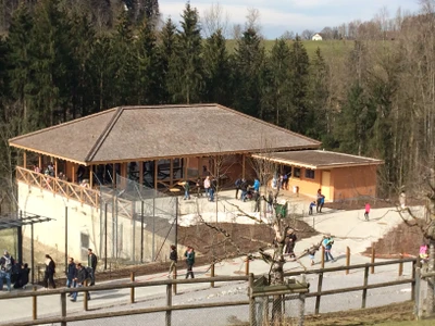 Schindeldach Walter Zoo, Gossau