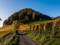 Gemeindeverwaltung Muttenz - Klicken Sie, um das Bild 1 in einer Lightbox vergrössert darzustellen