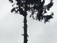 Bonnet Horticulteur / Paysagiste Sàrl