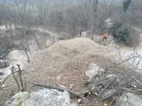 Galli Manuel