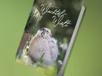 Wachtelshop Oliver Frei