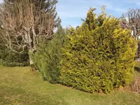 Jardin A2 et Marbrerie Theurillat