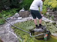 BRÜHWILER-GARTENBAU, BAUMPFLEGE