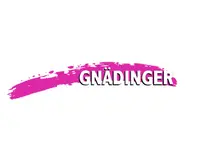 Gnädinger Malerwerkstatt AG