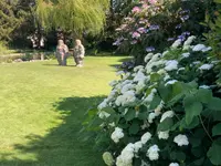Kummer Gartenbau - Pflanzenoase