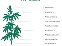 Grow & Garden