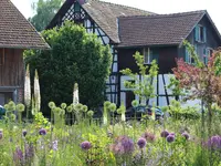 Breitenbach Gartenbau GmbH - Klicken Sie, um das Bild 7 in einer Lightbox vergrössert darzustellen