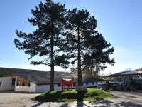 Centre Hippique de la Chaumaz Sàrl