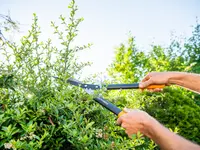 IMHOF Gartengestaltung GmbH - Klicken Sie, um das Bild 10 in einer Lightbox vergrössert darzustellen