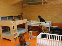 V.I.Pets Gossau