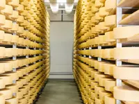 Fromagerie de L'Isle, Loïc Hautier