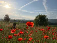 Neuhaus Stefan, Landschaftsgärtner/Paysagiste