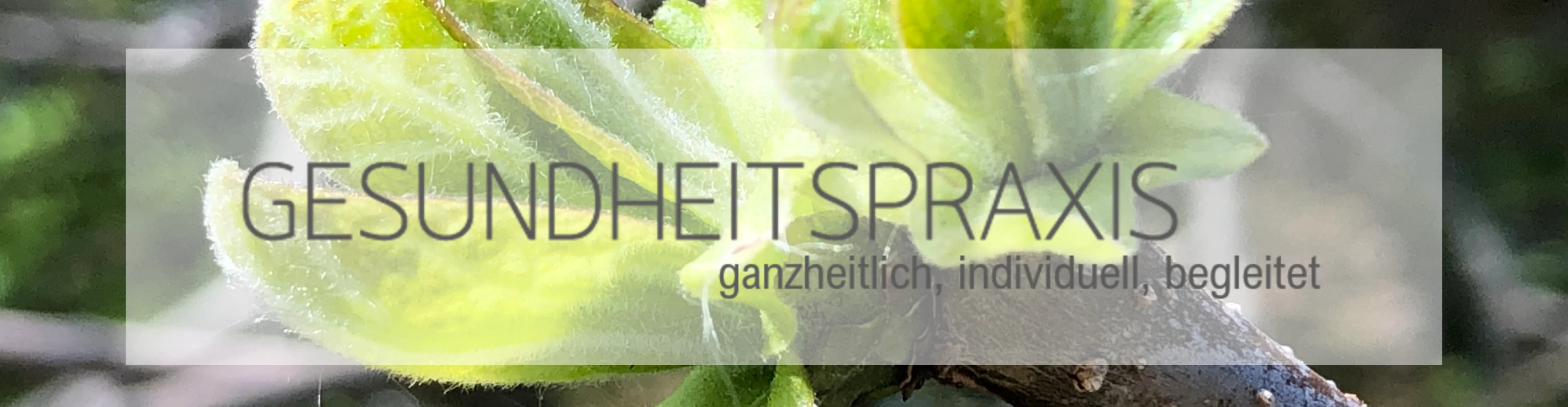 Gesundheitspraxis Alvita Thusis