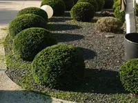 Luma Paysages