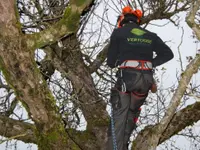 VERTUOSE Parcs et Jardins Sàrl