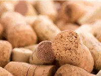 Vendanges, vins & spiritueux