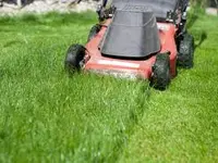 Kulturgrün Gartenbau GmbH