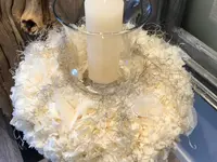 ColeDesign Colette Beer