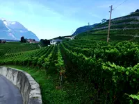 Propriété Veillon