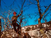 EQUILIBRE SOINS AUX ARBRES - Klicken Sie, um das Bild 8 in einer Lightbox vergrössert darzustellen