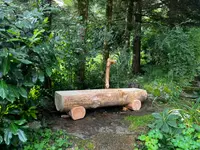 Rieder Holz und Kunst