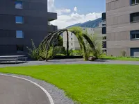 Grab Gartenbau AG