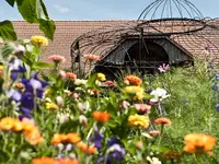 Gartenkultur Daniel Ruprecht AG