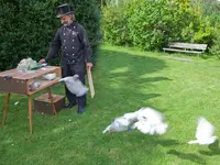 Hochzeitstauben Burlet - Klicken Sie, um das Bild 6 in einer Lightbox vergrössert darzustellen