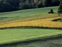 Domaine Les Hutins - Klicken Sie, um das Bild 3 in einer Lightbox vergrössert darzustellen