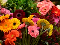 Atelier Cagna-Fleurs