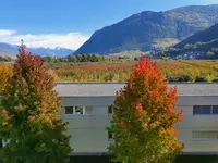 Cabinet Kundaria Naturopathe avec diplôme fédéral en MTC - Klicken Sie, um das Bild 12 in einer Lightbox vergrössert darzustellen