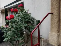 PIVOT Küng GmbH