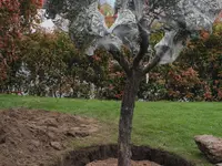 ELLEMME Giardini di Luca Maruca