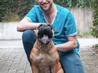 Kleintierpraxis 3 Pfoten GmbH