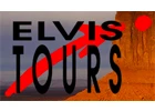 Logo Elvistours Viaggi